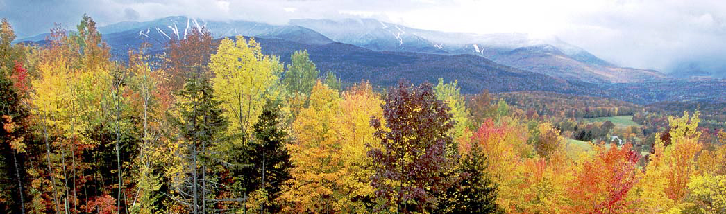 Vermont Foliage